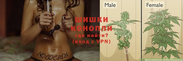первитин Россошь