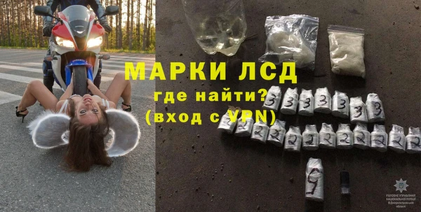 индика Белокуриха