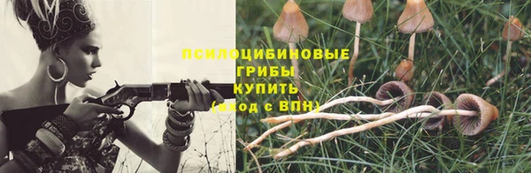 молекула духа Богородицк