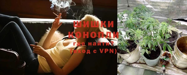 молекула духа Богородицк